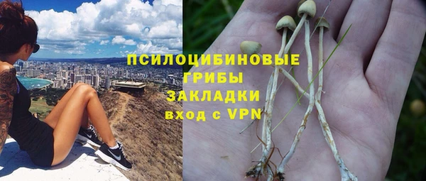 мяу мяу мука Алексеевка