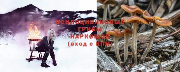 мяу мяу мука Алексеевка