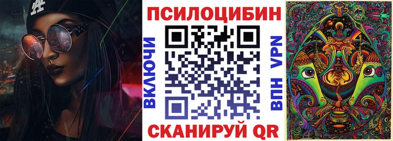 где можно купить Николаевск-на-Амуре Псилоцибиновые грибы прущие грибы